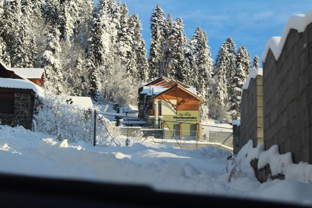 Pine Wood Apartment Vysné Ruzbachy Exterior foto